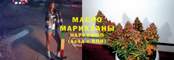 дмт Богородск