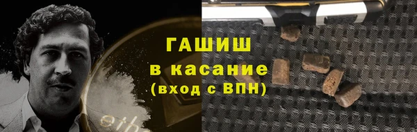 ECSTASY Богородицк