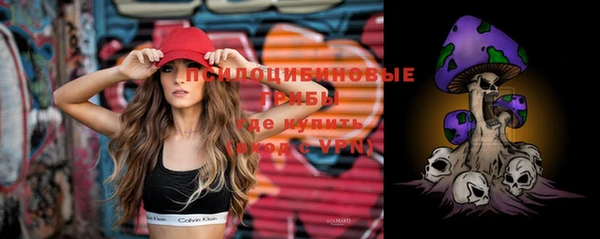 ECSTASY Богородицк