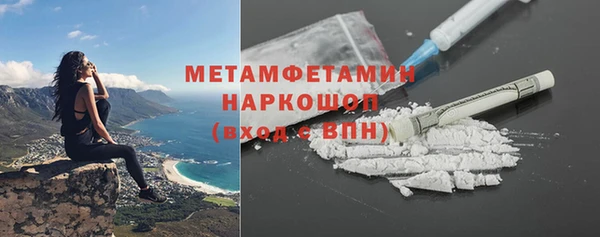молекула духа Богданович