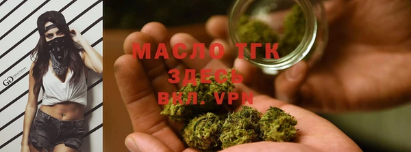 дмт Богородск