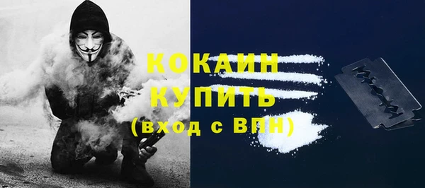 дмт Богородск