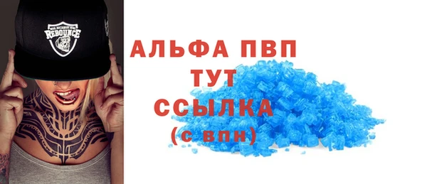 ECSTASY Богородицк