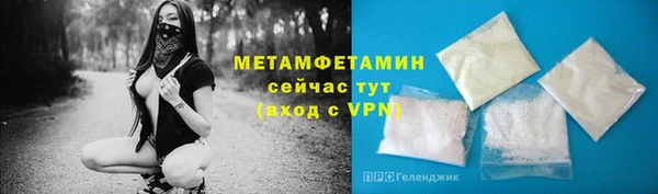 молекула духа Богданович