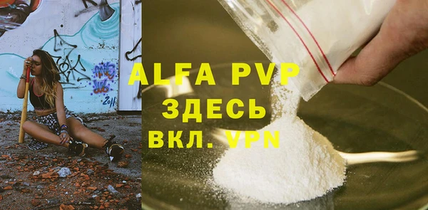 молекула духа Богданович
