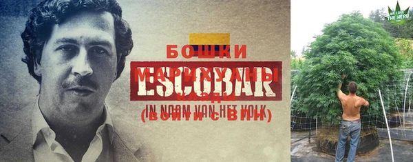 ECSTASY Богородицк
