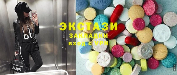 ECSTASY Богородицк