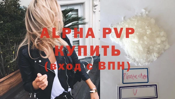 молекула духа Богданович
