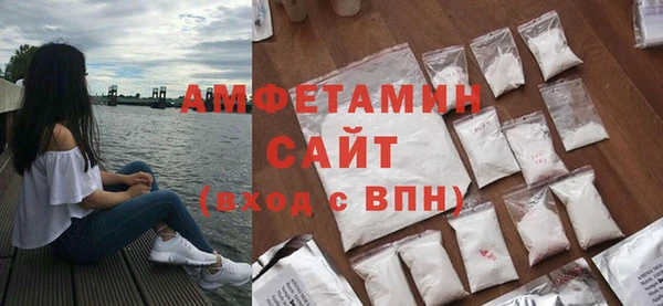 молекула духа Богданович