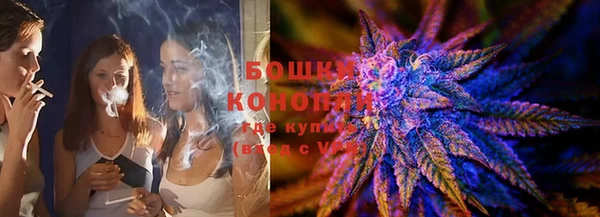 молекула духа Богданович