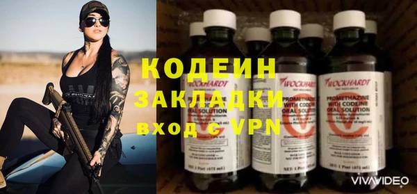 молекула духа Богданович