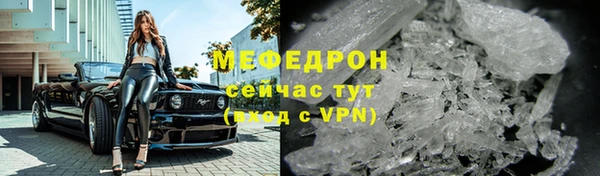 молекула духа Богданович