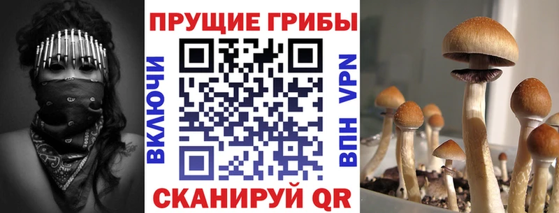 мориарти состав  Дятьково  Галлюциногенные грибы MAGIC MUSHROOMS 